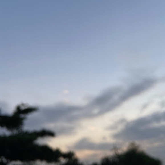 Meet your Posher, Ani - Picture 1 of 1